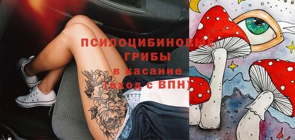 дживик Лабытнанги