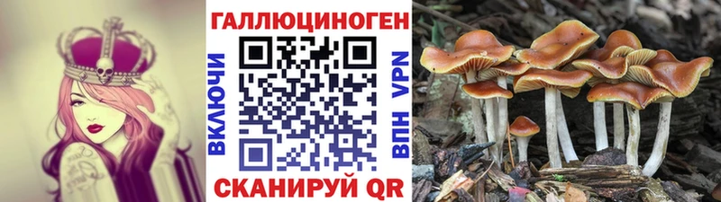 Псилоцибиновые грибы ЛСД Лосино-Петровский