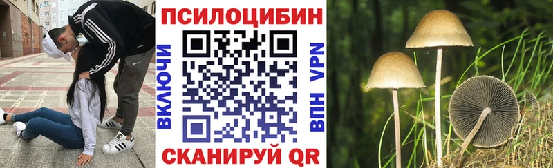 Псилоцибиновые грибы Psilocybe  omg рабочий сайт  Лосино-Петровский 